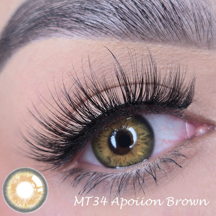 Meetone MT Series MT-34 Apoiion Brown Contact Lenses