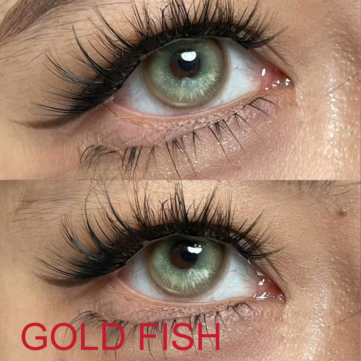 INDO Gold Fish Brown Contact Lenses