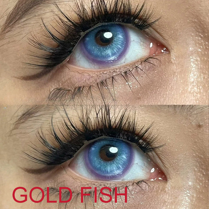 INDO Gold Fish Blue Contact Lenses