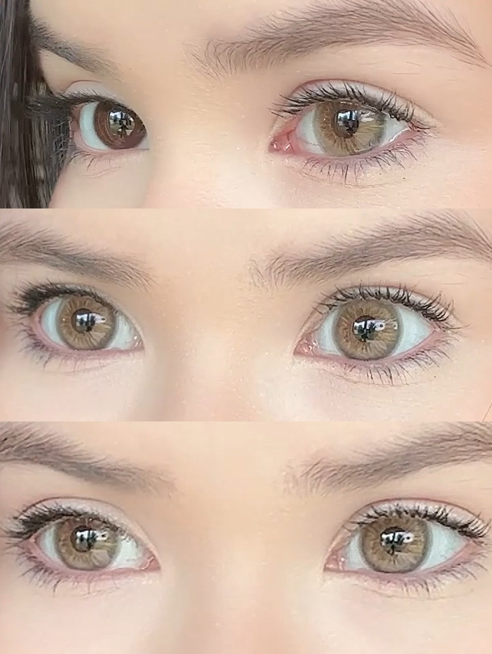 Meetone EOS Brown Contact Lenses